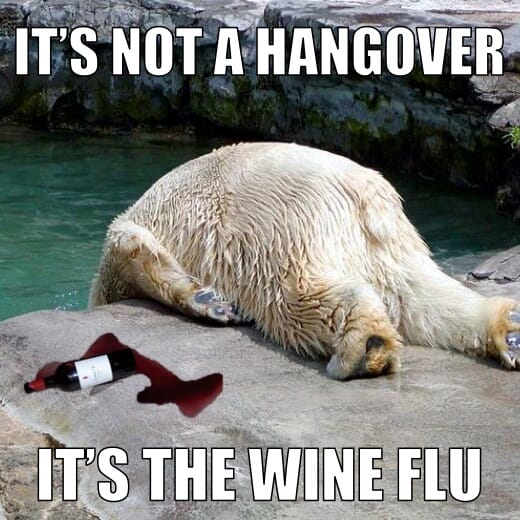 how-to-prevent-a-wine-hangover-3-crucial-tips-updated-ideas