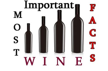Most important wine facts