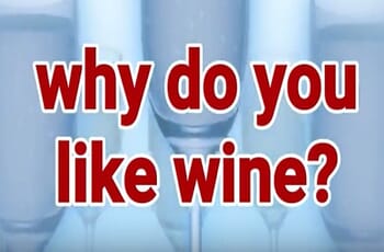 Why Do You Like Wine