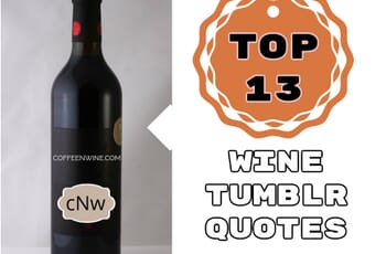 Top 13 Wine Tumblr Quotes