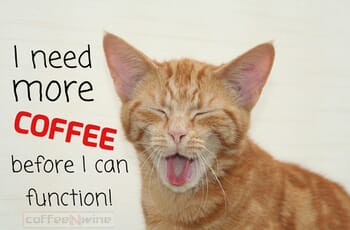 I Need More Coffee Before I Can Function