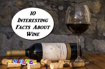 10 Interesting Facts About Wine - Fact About Wine - Wine Fact