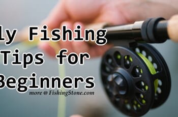 Fly Fishing Tips for Beginners 1 Fly Fishing Tips For Beginners