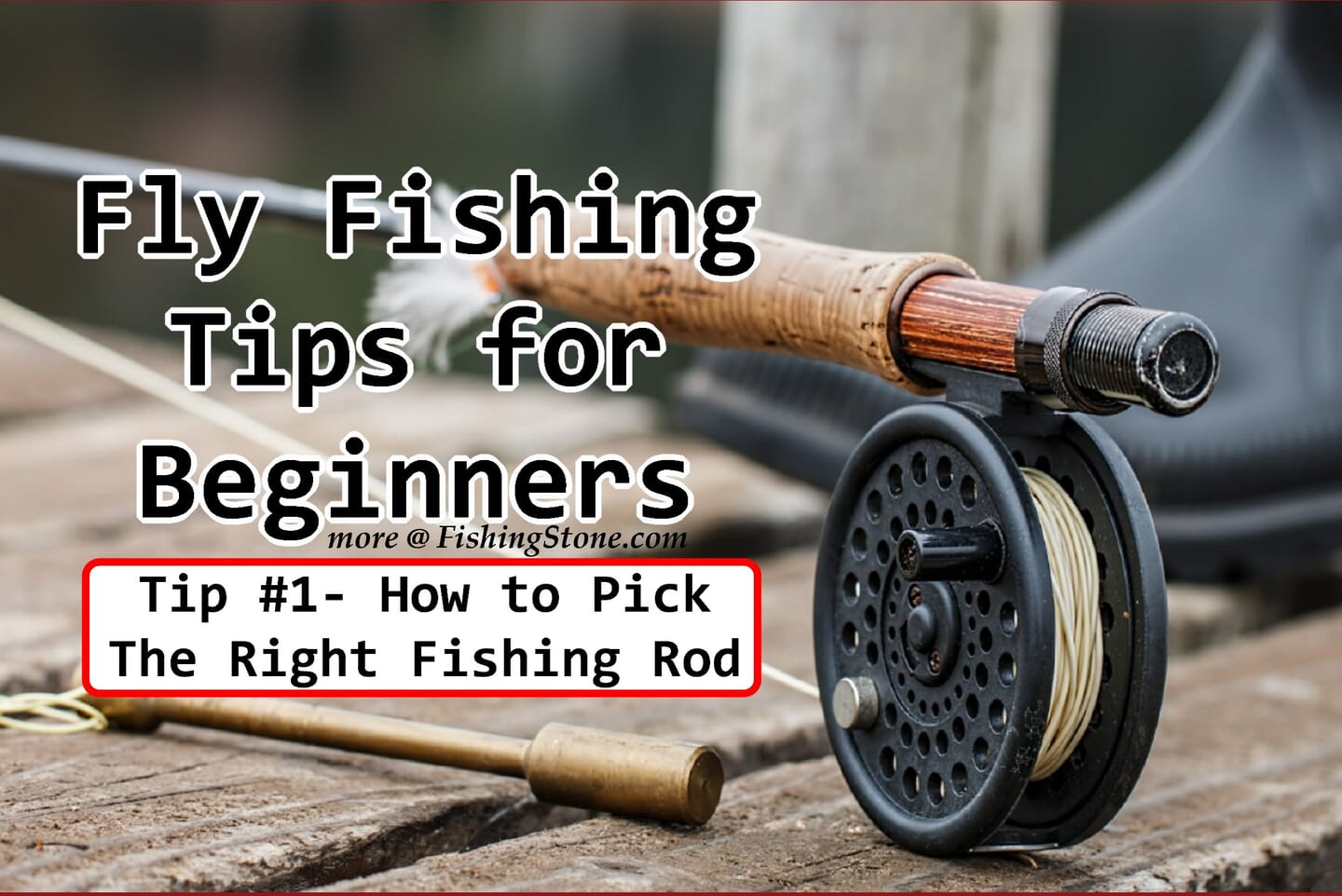 Fly Fishing Tips for Beginners to Catch the Big Fish