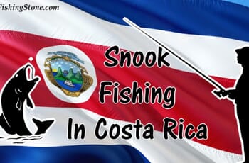 Snооk Fiѕhing In Cоѕtа Riса 1 Snook Fishing in Costa Rica