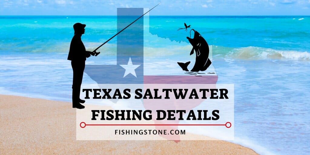 Texas Saltwater Fishing Details Spots License Locations Report Limits Sizes