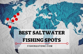 Top 10 Best Saltwater Fishing Spots in the World 1 Top 10 Best Saltwater Fishing Spots Worldwide