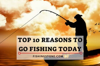 Top 10 Reasons To Go Fishing Today 21 Top 10 Reasons To Go Fishing Today