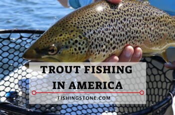 Trout Fishing in America A Favorite Pastime 1 Trout Fishing in America A Favorite Pastime For Many Generations