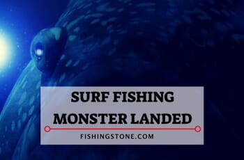 Guy Land a BIG Fish Surf Fishing 1 Guy Land a BIG Fish Surf Fishing
