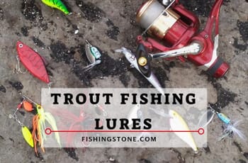Best 3 Trout Fishing Lures to Help You Catch Trout Today 1 Trout Fishing Lures - What are The Best Trout Fishing Lures to Catch Trout