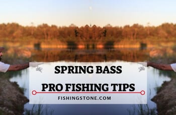 5 Spring Bass Fishing Tips Catch Bass like a Pro 1 4 Spring Bass Fishing Tips Catch Bass Like a Pro Fishing Techniques